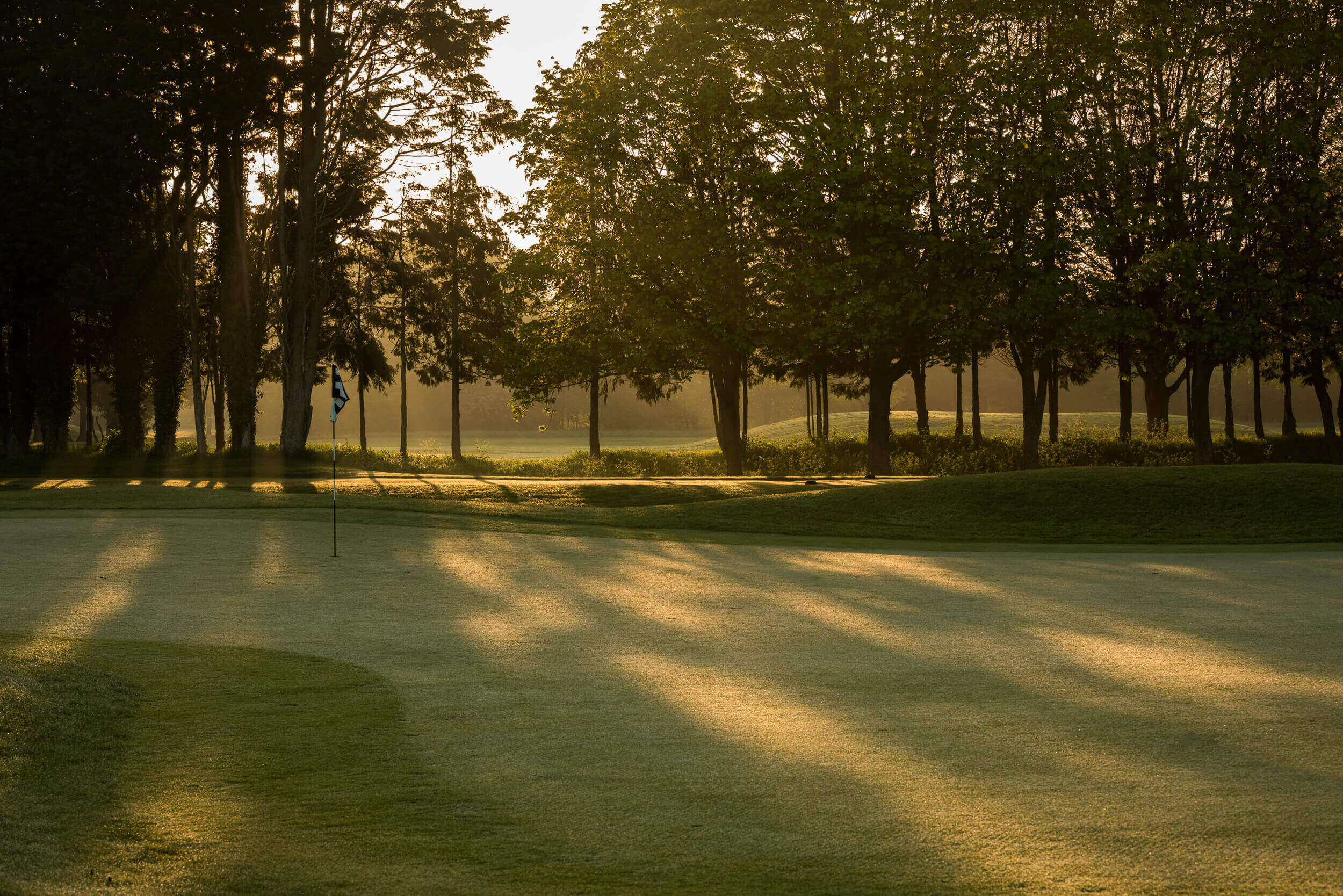 Golf green with trees in background